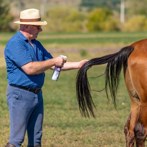 Спрей за грижа за гривата, аромат Oriental Nights, MagicBrush, 500 мл