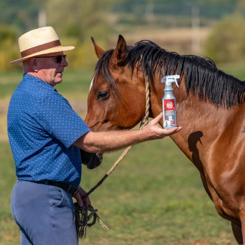 Спрей за грижа за гривата, аромат FrenchKiss, MagicBrush, 500 мл