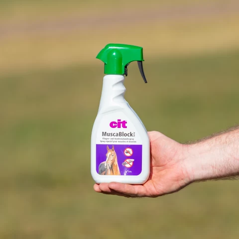 Спрей против мухи, CIT MuscaBlock, 500 мл