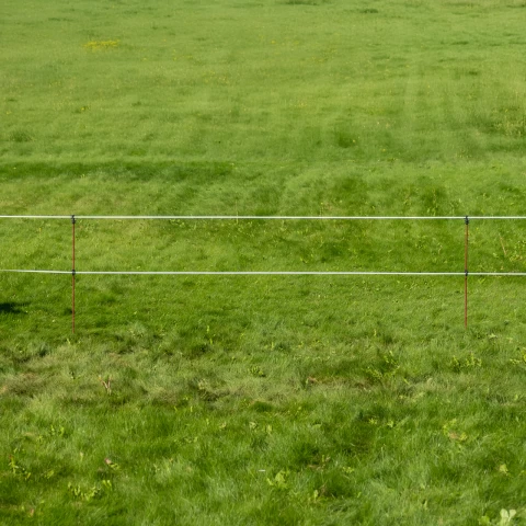 Стоманено колче за електрическа ограда, Ø8 мм × 107 см, 30 бр.