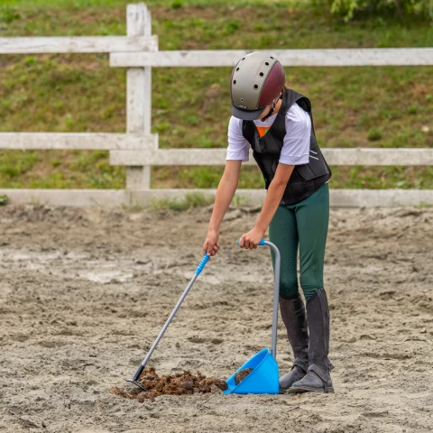 Лопата с гребло Mistboy Mini, синя, 60 см