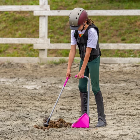 Лопата с гребло Mistboy Mini, розова, 60 см