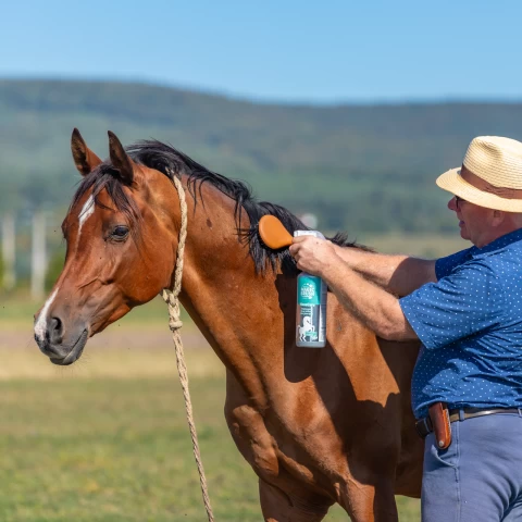 Спрей за блясък на козината, MagicBrush Manecare, 1000 мл