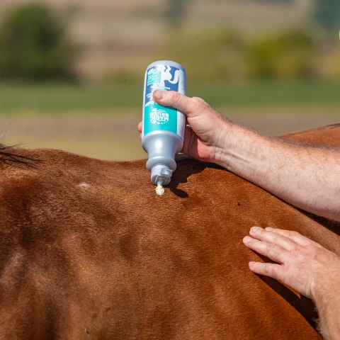 Балсам за коне, MagicBrush, 500 мл