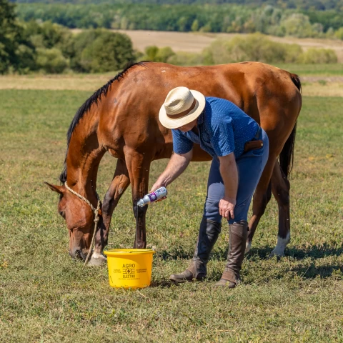 Шампоан за коне, аромат Oriental Nights, MagicBrush, 500 мл
