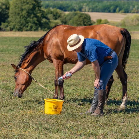 Шампоан за коне, аромат FrenchKiss, MagicBrush, 500 мл