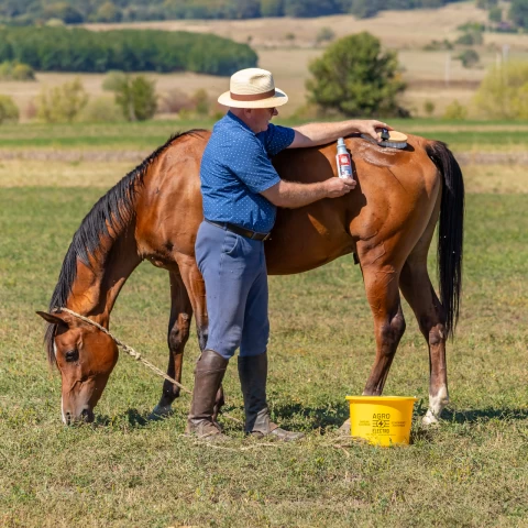 Шампоан за коне, аромат FrenchKiss, MagicBrush, 500 мл