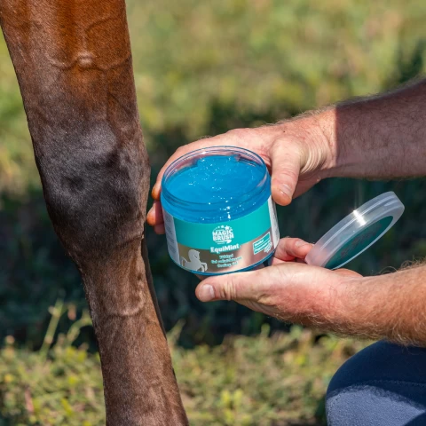Гел за коне, MagicBrush Equimint, 500 мл