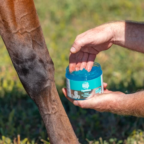 Гел за коне, MagicBrush Equimint, 500 мл