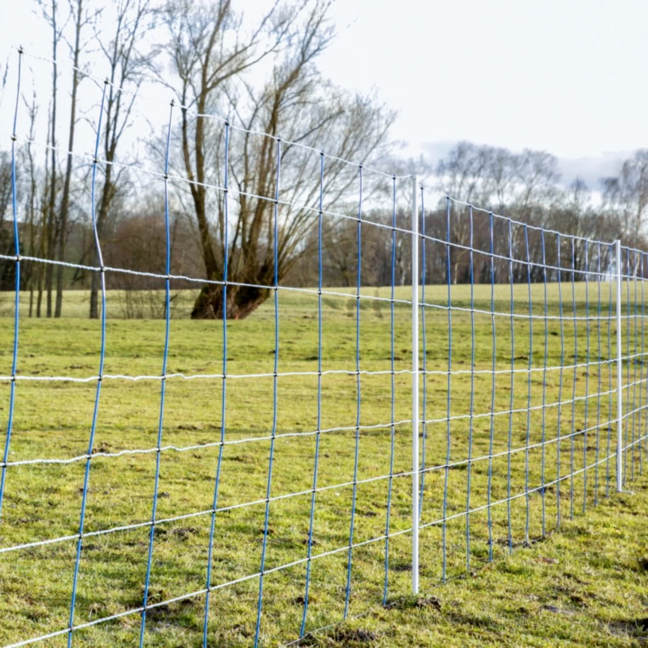 Мрежа за електропастир, TitanNet, 50 м × 145 см