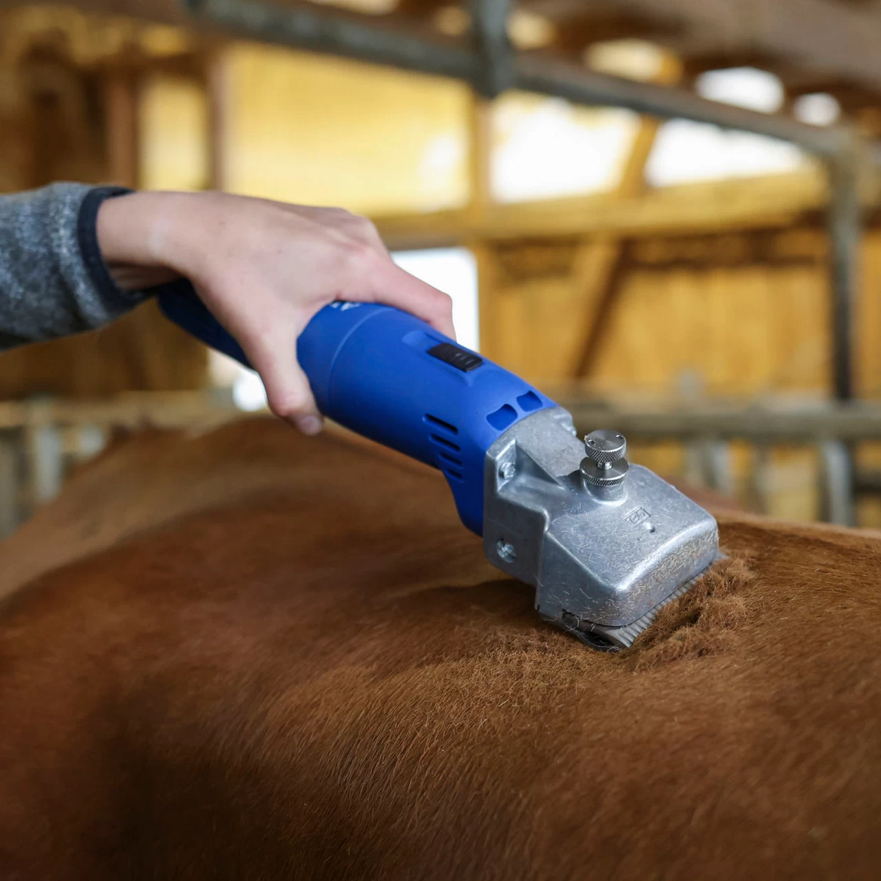 Машинка за стригане на едър рогат добитък и коне, Aesculap Econom II, 230 V