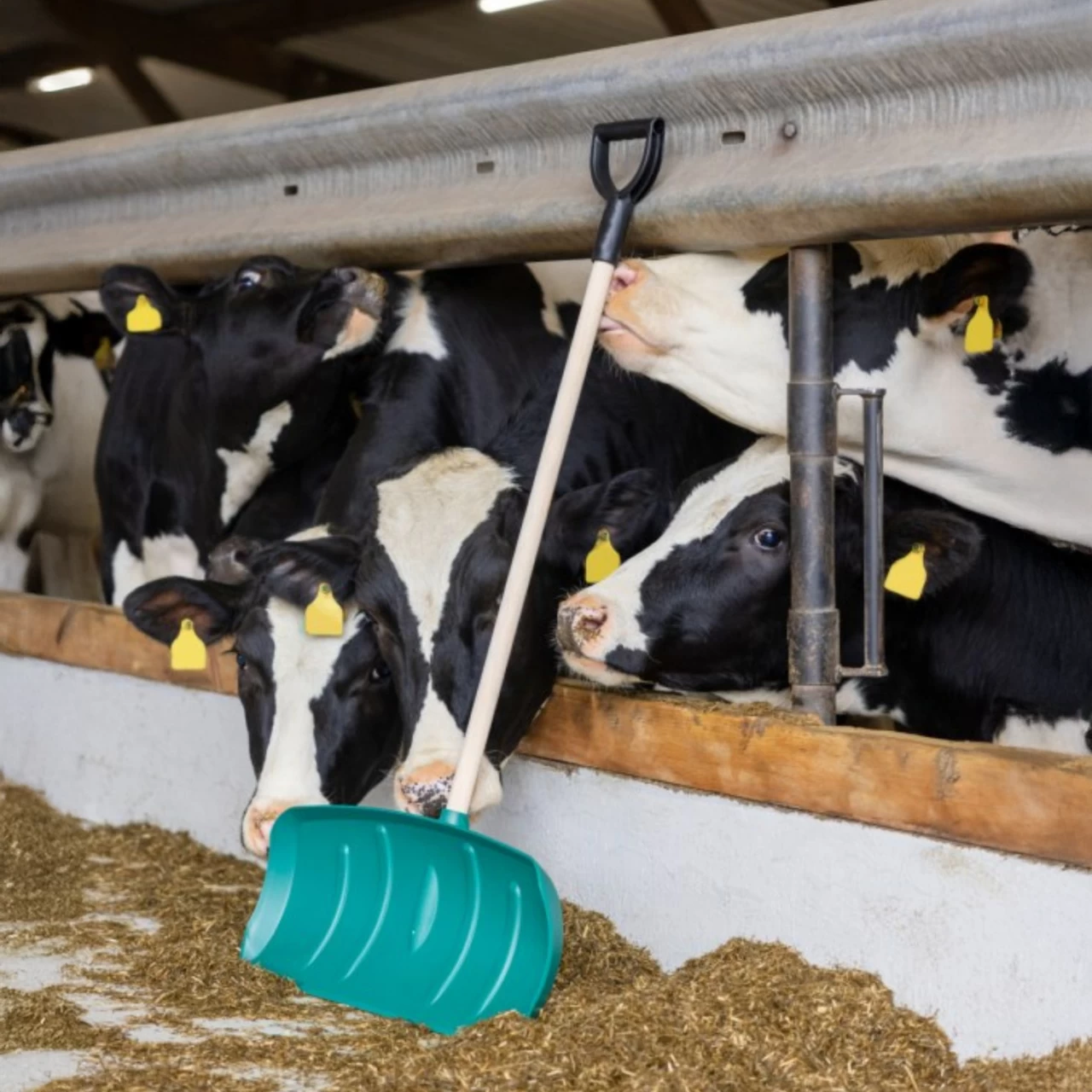 Лопата за обработка на фураж, без дръжка, 65,5 × 27 cм