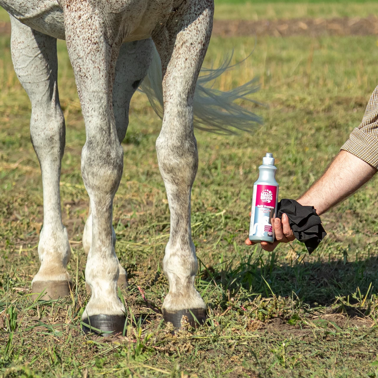 Масло за копита, MagicBrush, 500 мл.