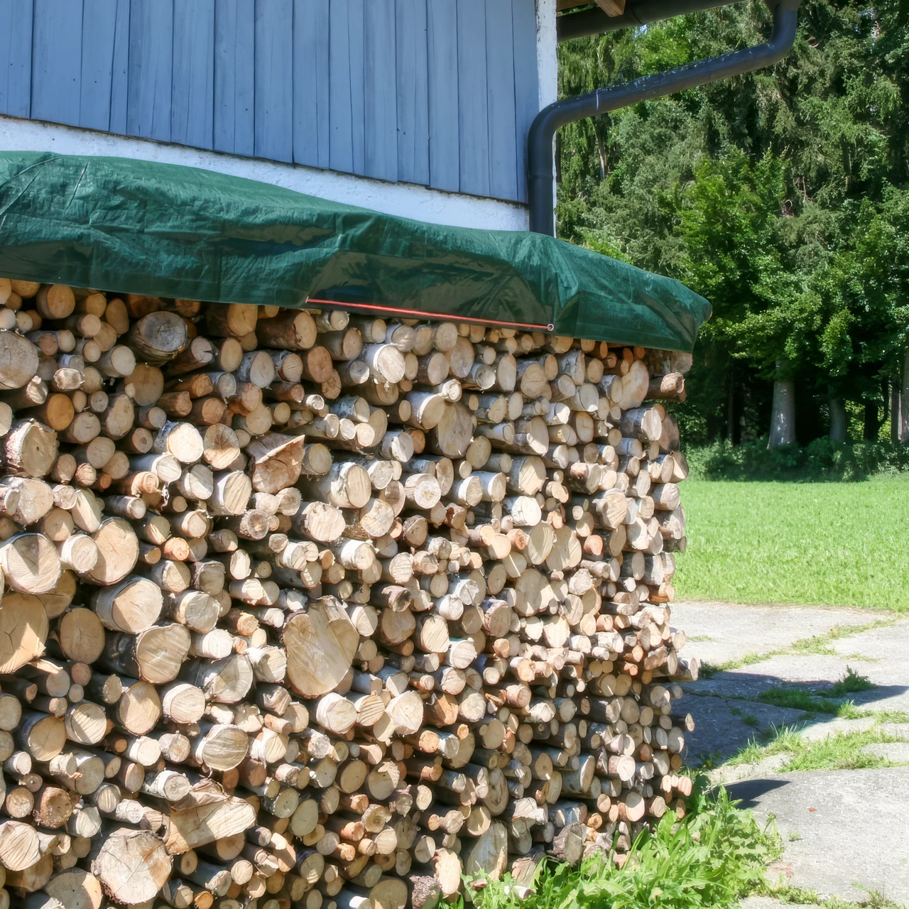 Защитно покривало, PolyGuard, 210 г/м², 3 × 2 м