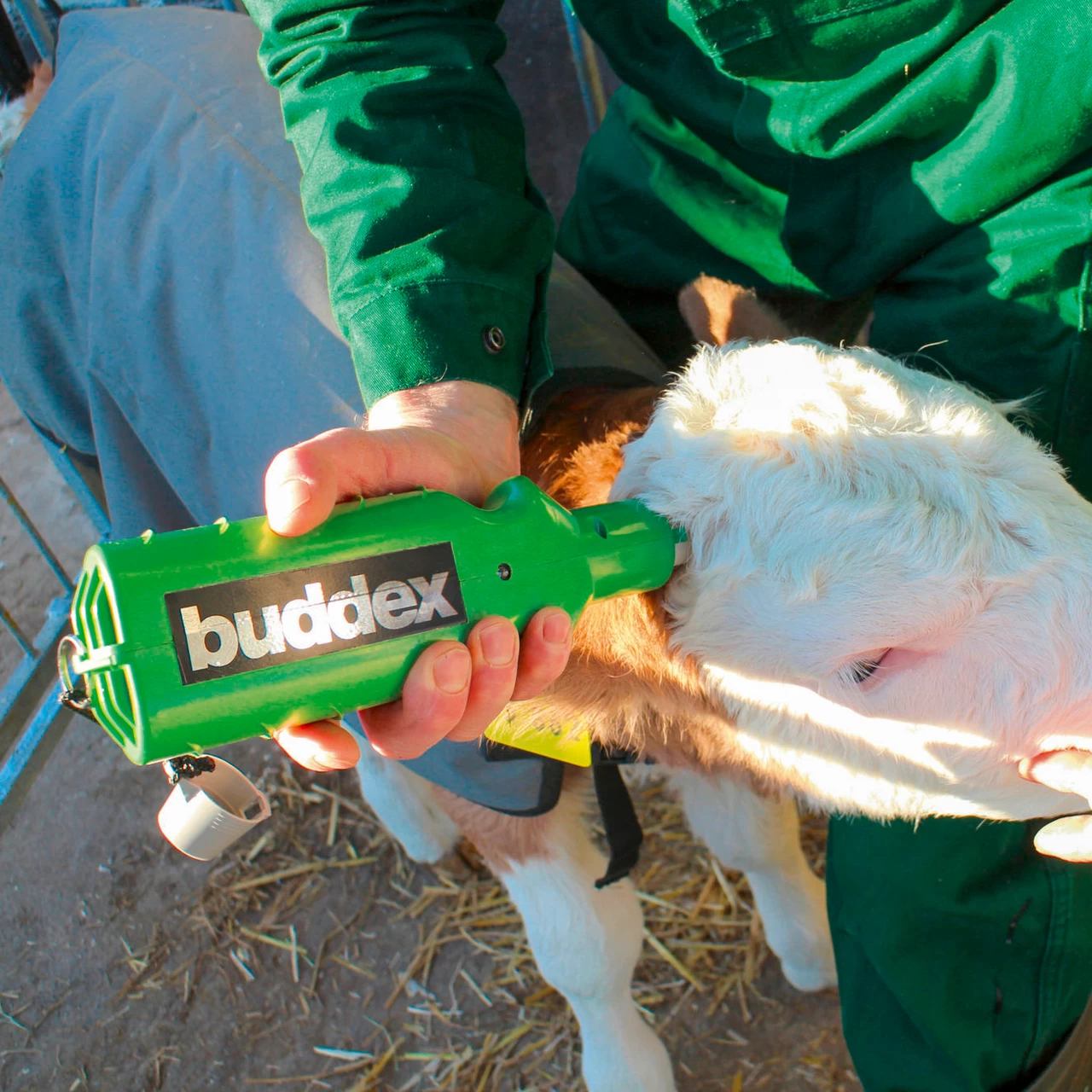 Акумулаторен обезроговител за телета, Buddex