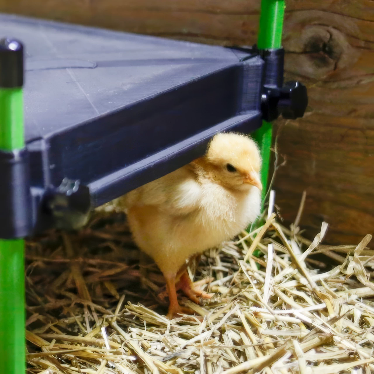 Термоподложка за пилета, CosyHeat, 30 × 30 см