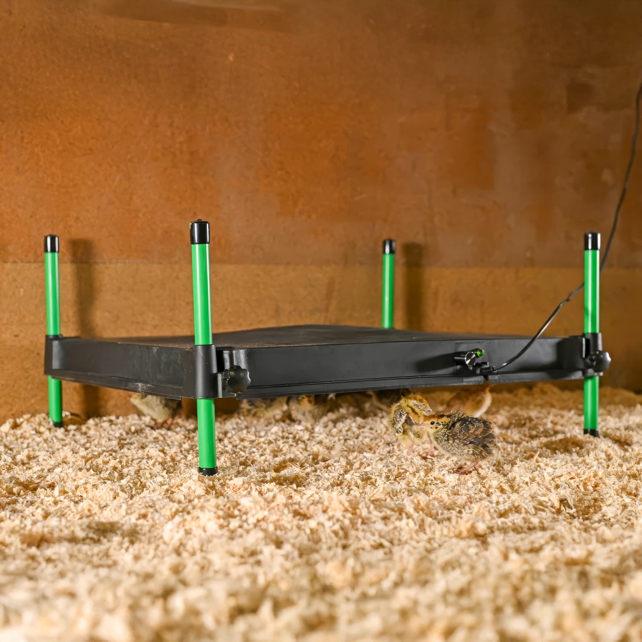 Термоподложка за пилета, CosyHeat, 40 × 50 см