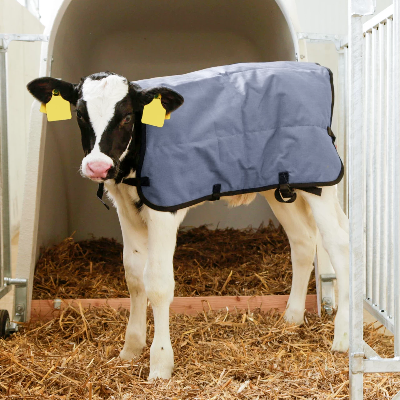 Одеяло за телета, водоустойчиво, сиво, 80 × 70 см