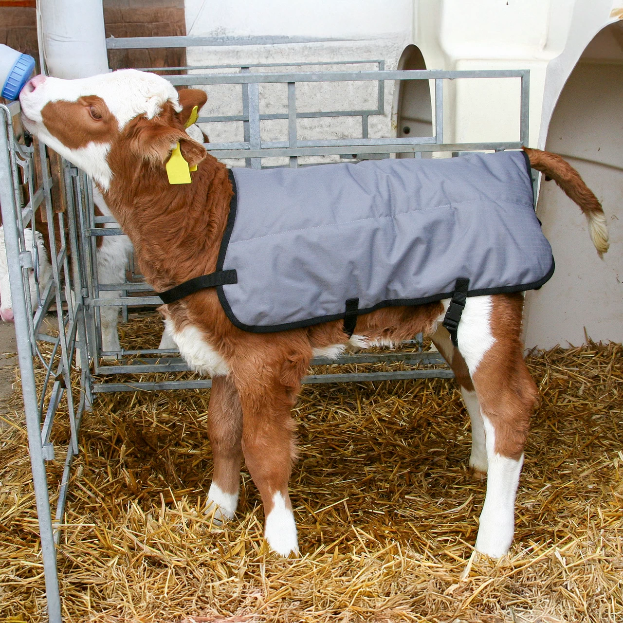 Одеяло за телета, водоустойчиво, сиво, 70 × 70 см