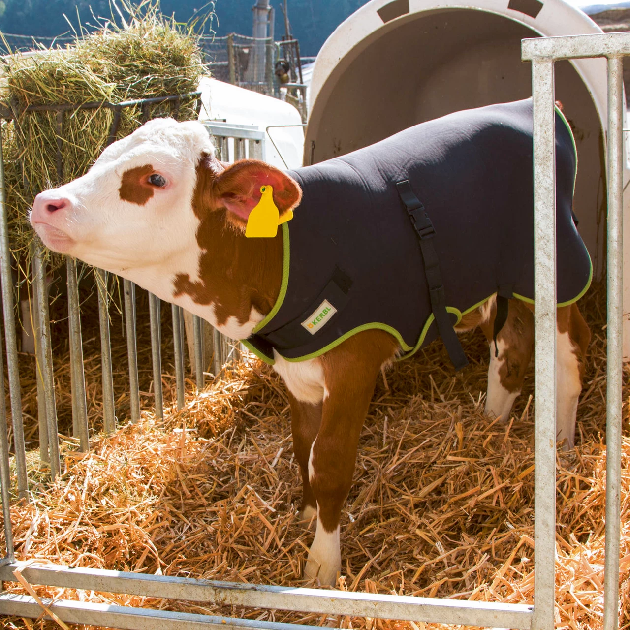 Одеяло за телета, премиум, топлоизолиращо, водоустойчиво, черно, 70 × 70 см