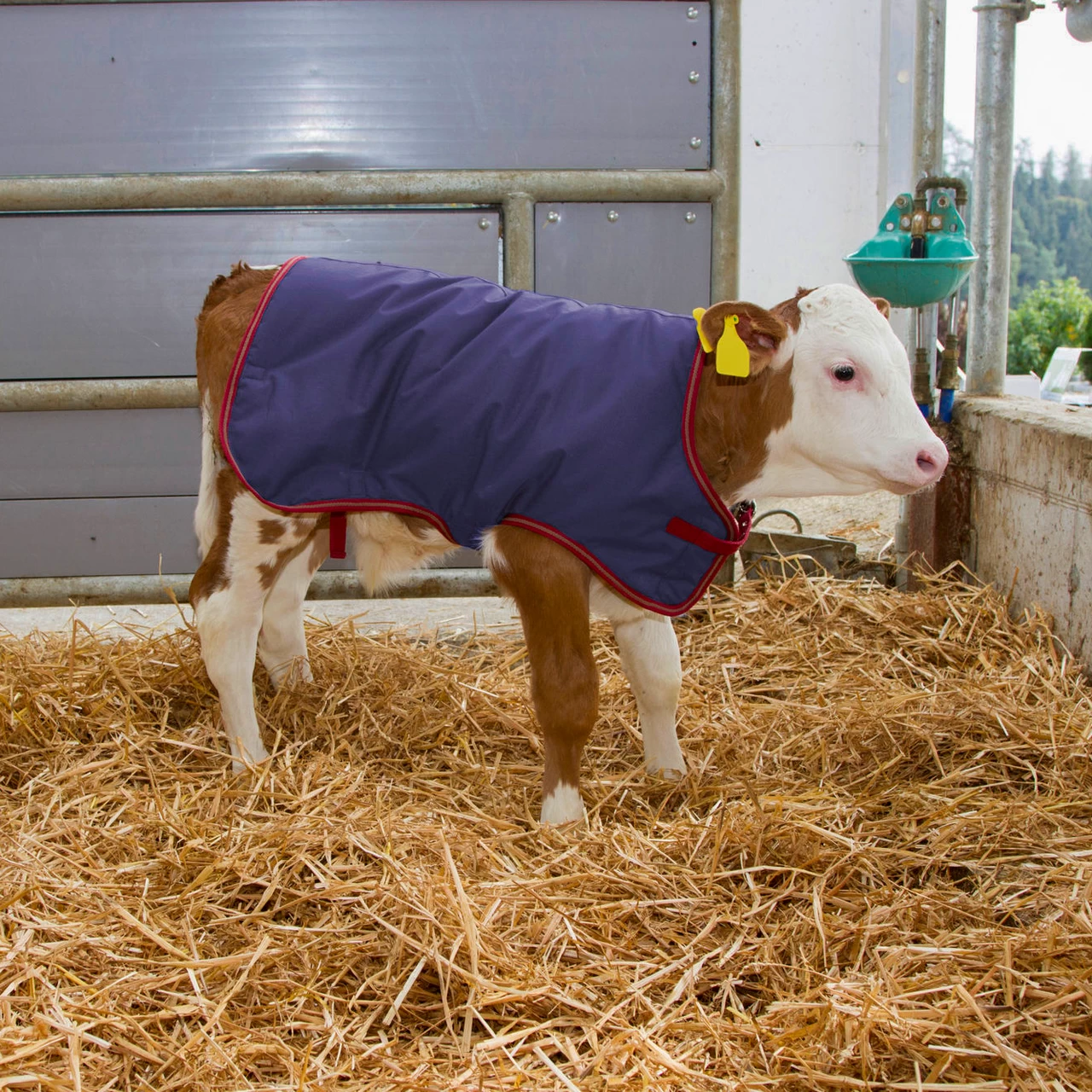 Одеяло за телета, водоустойчиво, ThermoPlus, тъмно синьо, 70 × 70 см