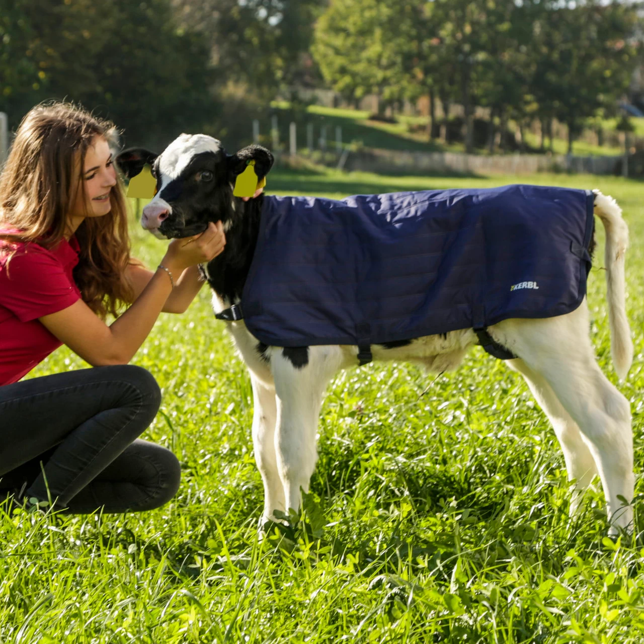 Одеяло за телета, водоустойчиво, EasyWear, тъмно синьо, 80 × 70 см