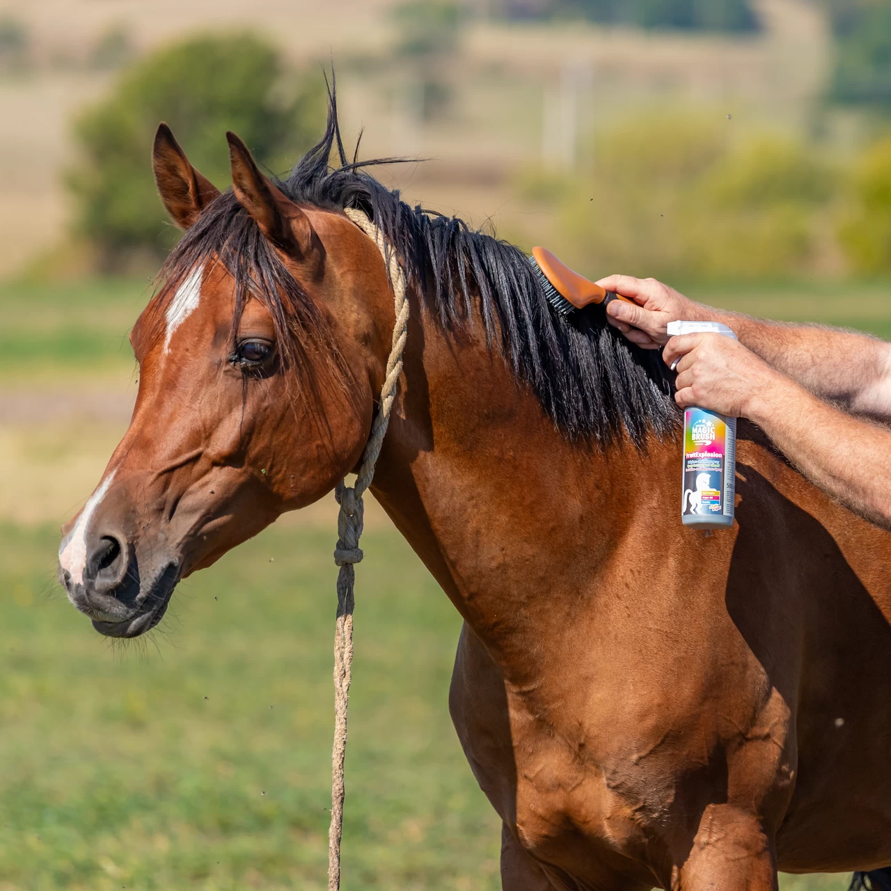 Спрей за грижа за гривата, аромат FruitExplosion, MagicBrush, 500 мл