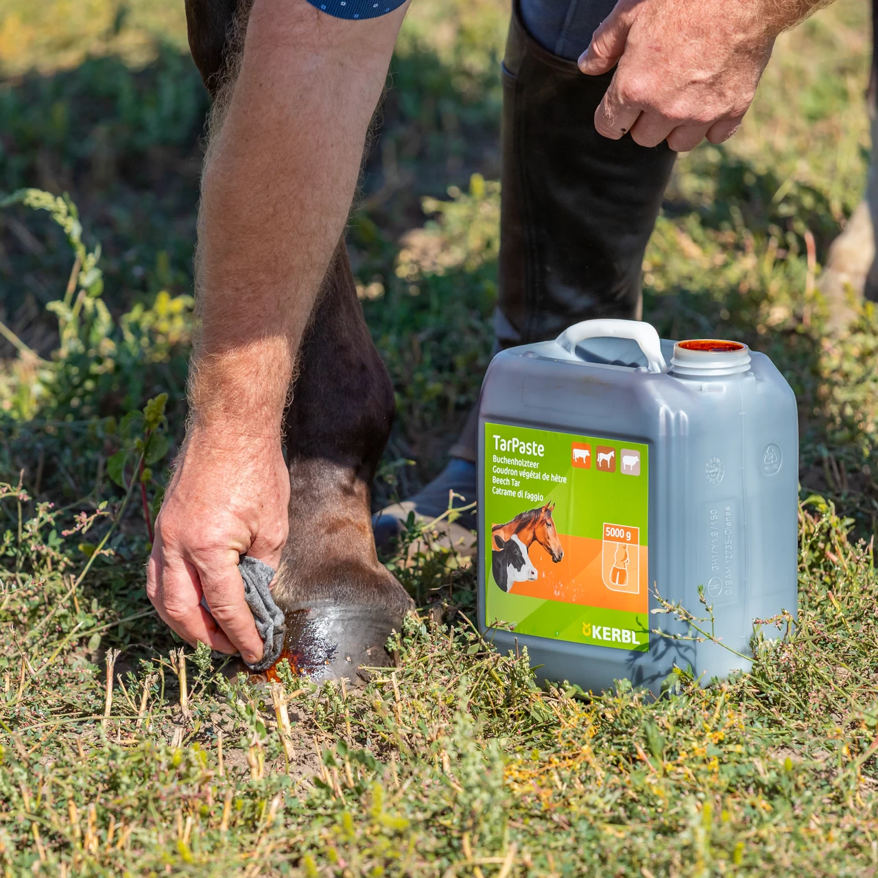 Буков катран, TarPaste, 5 кг