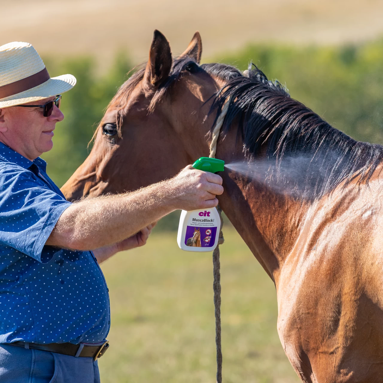 Спрей против мухи, CIT MuscaBlock, 500 мл