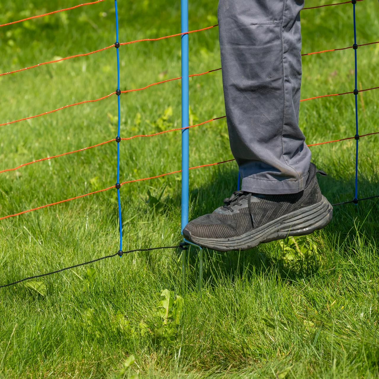 Мрежа за електропастир, TitanNet Premium, 50 м × 90 см