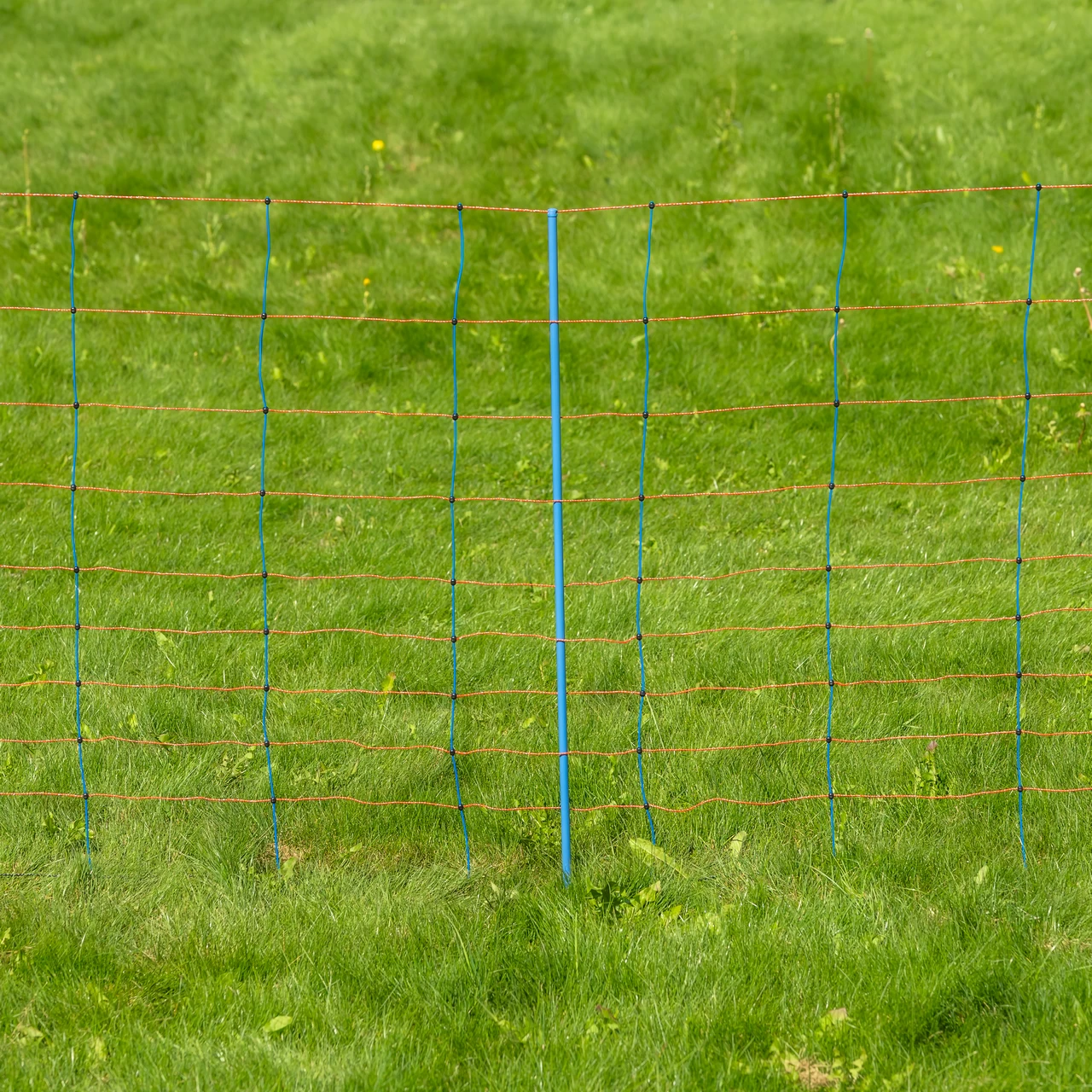 Мрежа за електропастир, TitanNet Premium, 50 м × 108 см