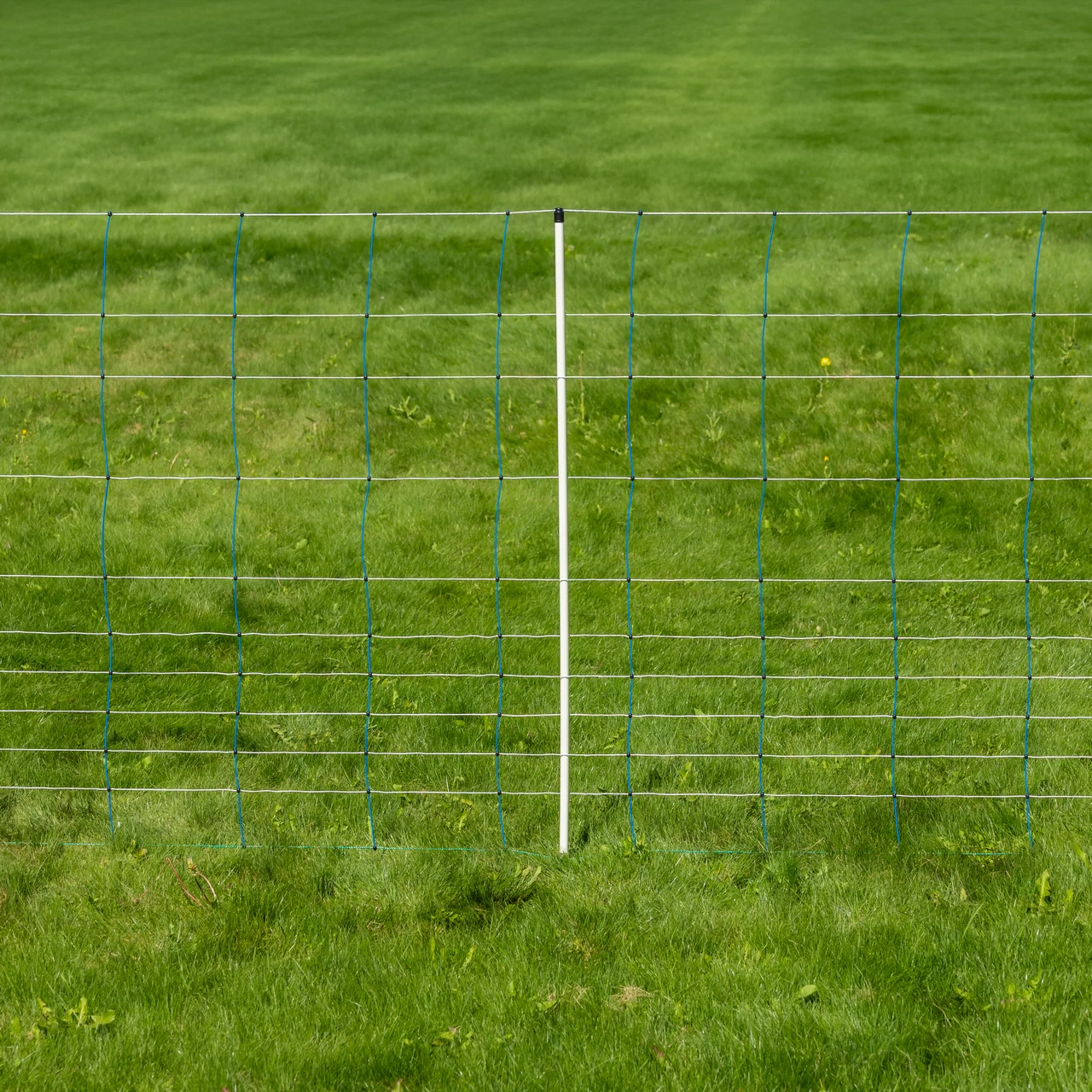 Мрежа за електропастир, TitanNet, 50 м × 145 см