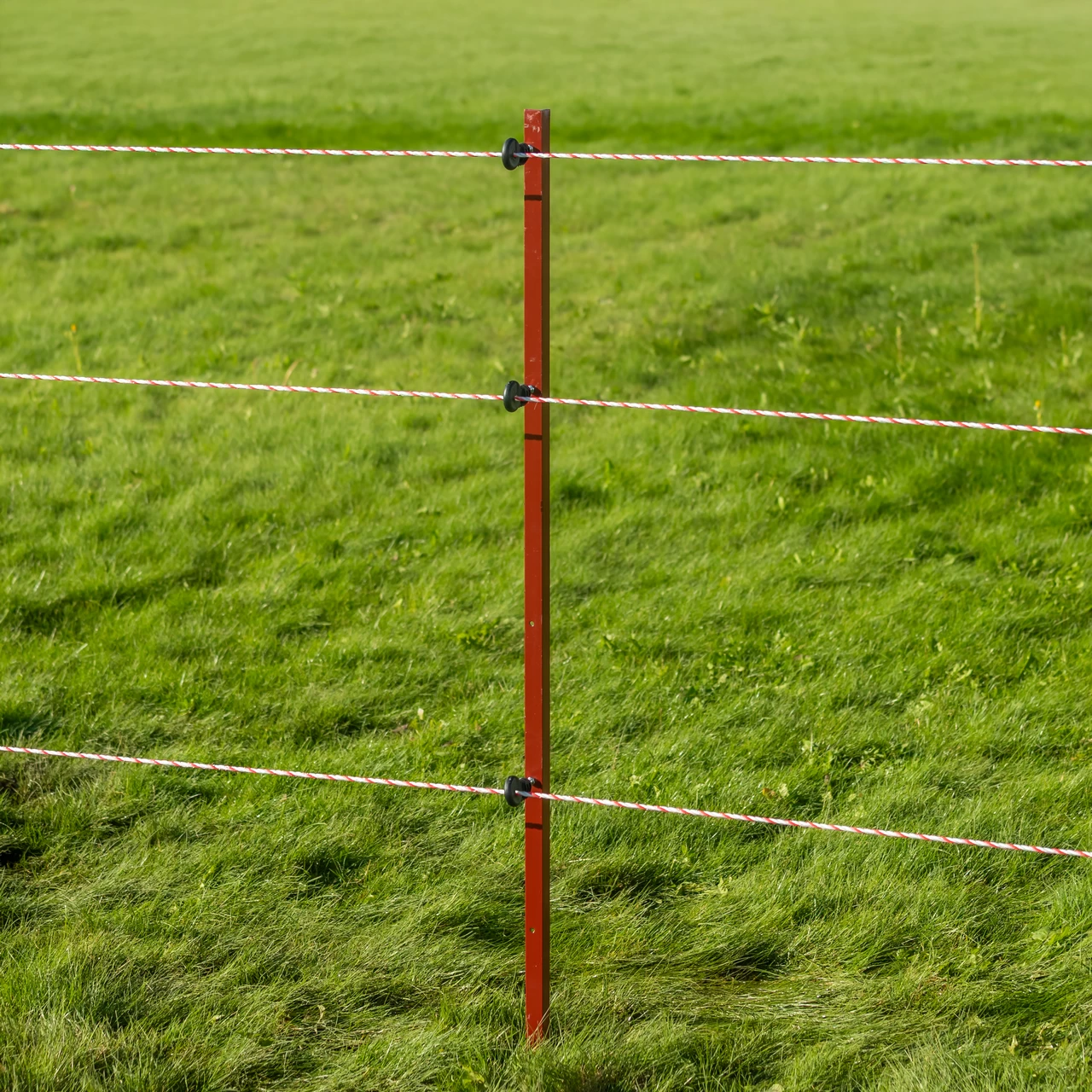 Колче от винкел 25 × 25 мм, 150 см