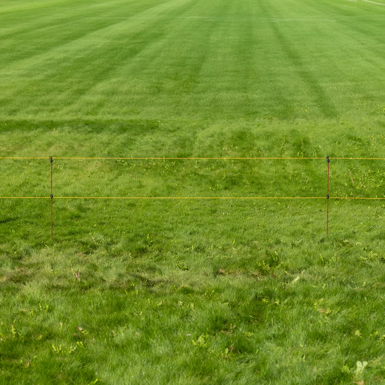 Стоманено колче за електрическа ограда, Ø8 мм × 107 см, 30 бр.