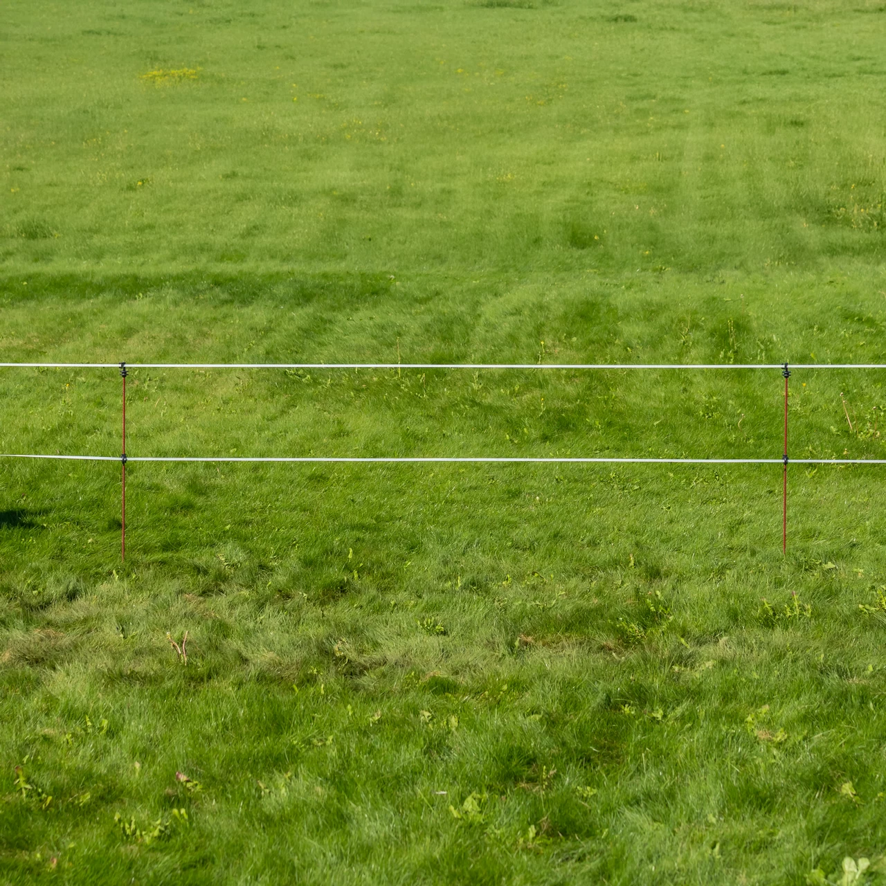 Стоманено колче за електрическа ограда, Ø8 мм × 107 см, 30 бр.