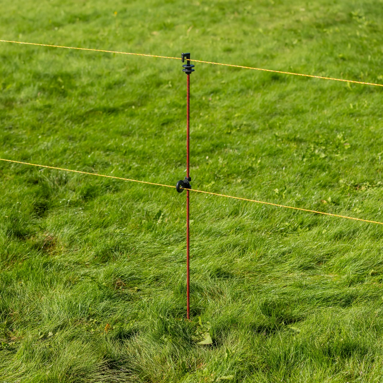 Стоманено колче за електрическа ограда, Ø8 мм × 107 см, 30 бр.