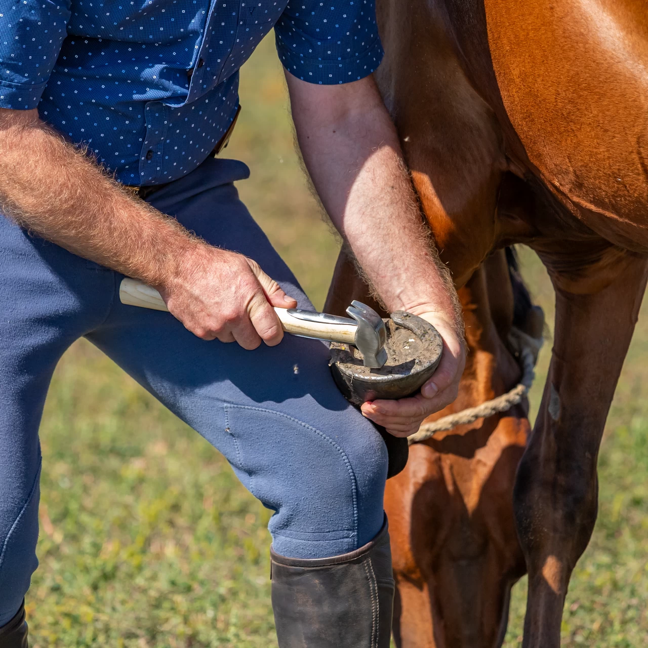 Чук за подковаване с подсилена дървена дръжка, 33 см
