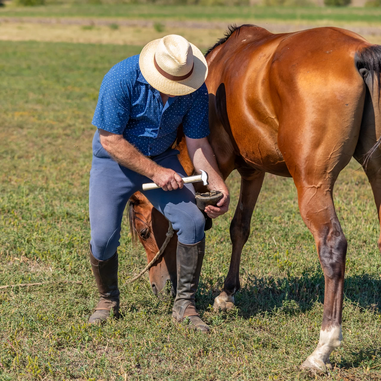 Чук за подковаване с подсилена дървена дръжка, 33 см