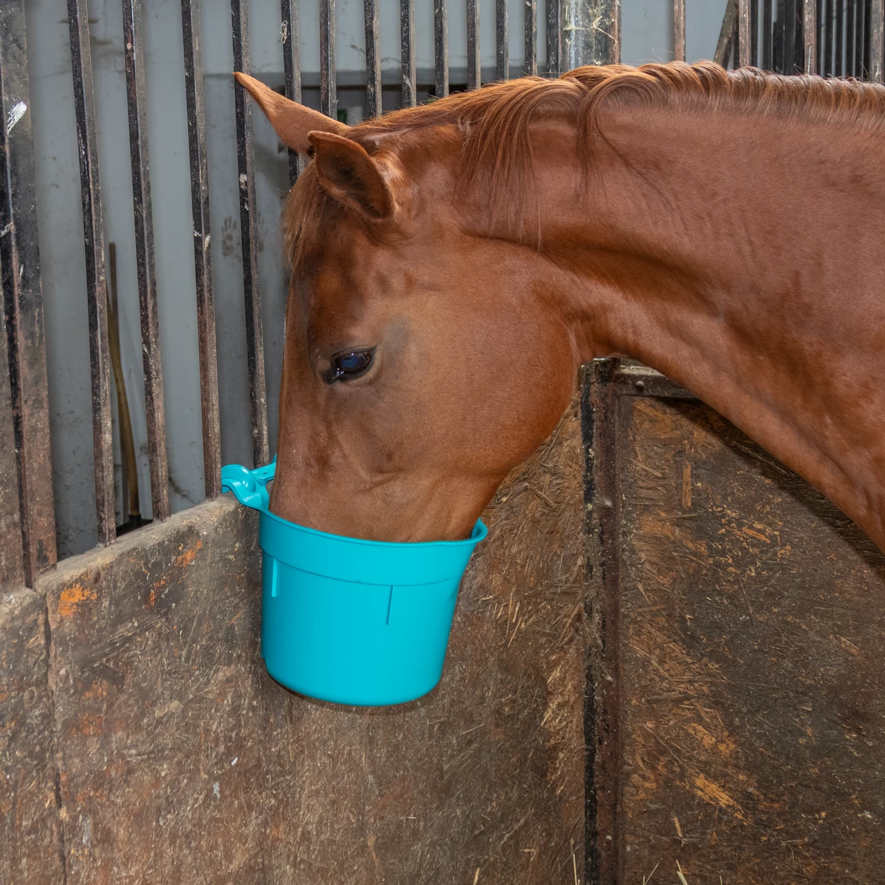 Кофа за хранене, с конзола за окачване, цилиндрична форма, тюркоазена, 8 литра