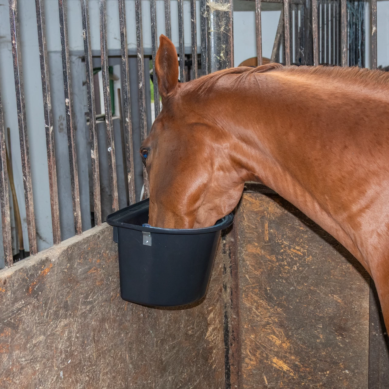Кофа за хранене на коне, с конзола за окачване и дръжка, черна, 12 литра