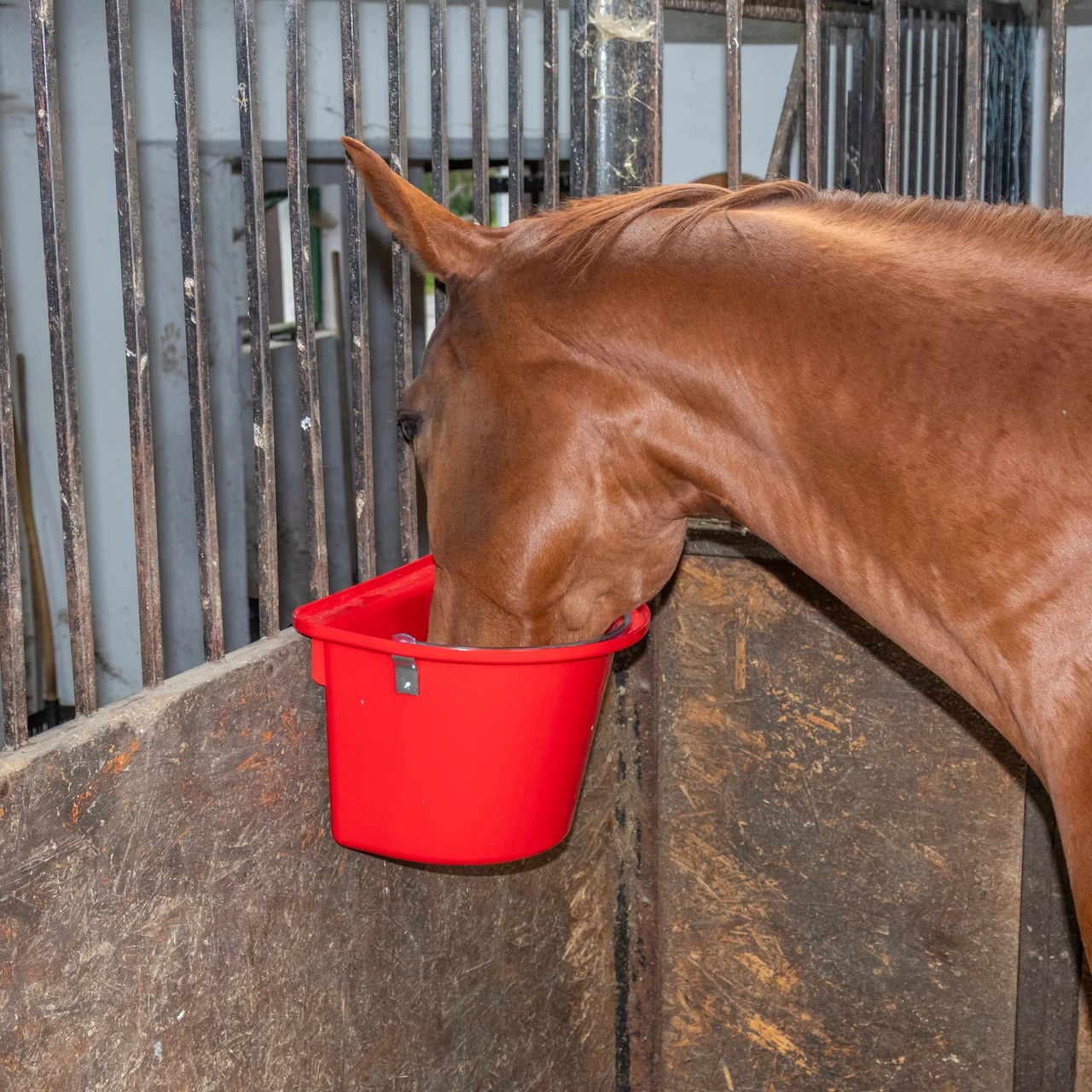 Кофа за хранене на коне, с конзола за окачване и дръжка, червена, 12 литра
