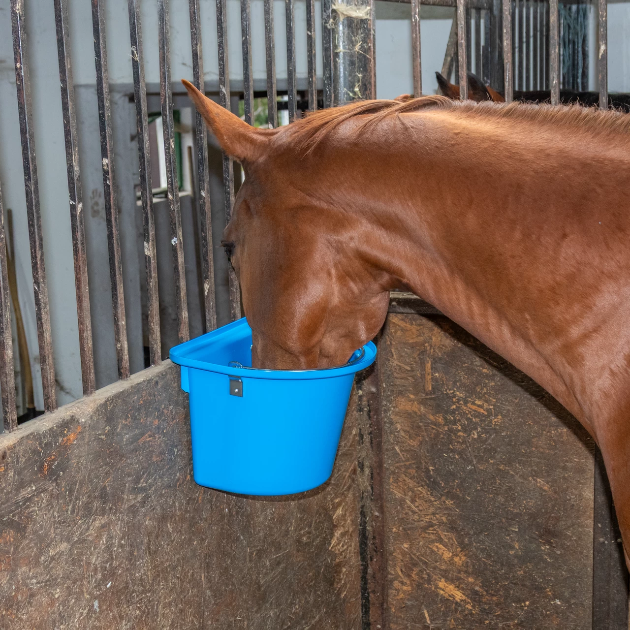 Кофа за хранене на коне, с конзола за окачване и дръжка, синя, 12 литра