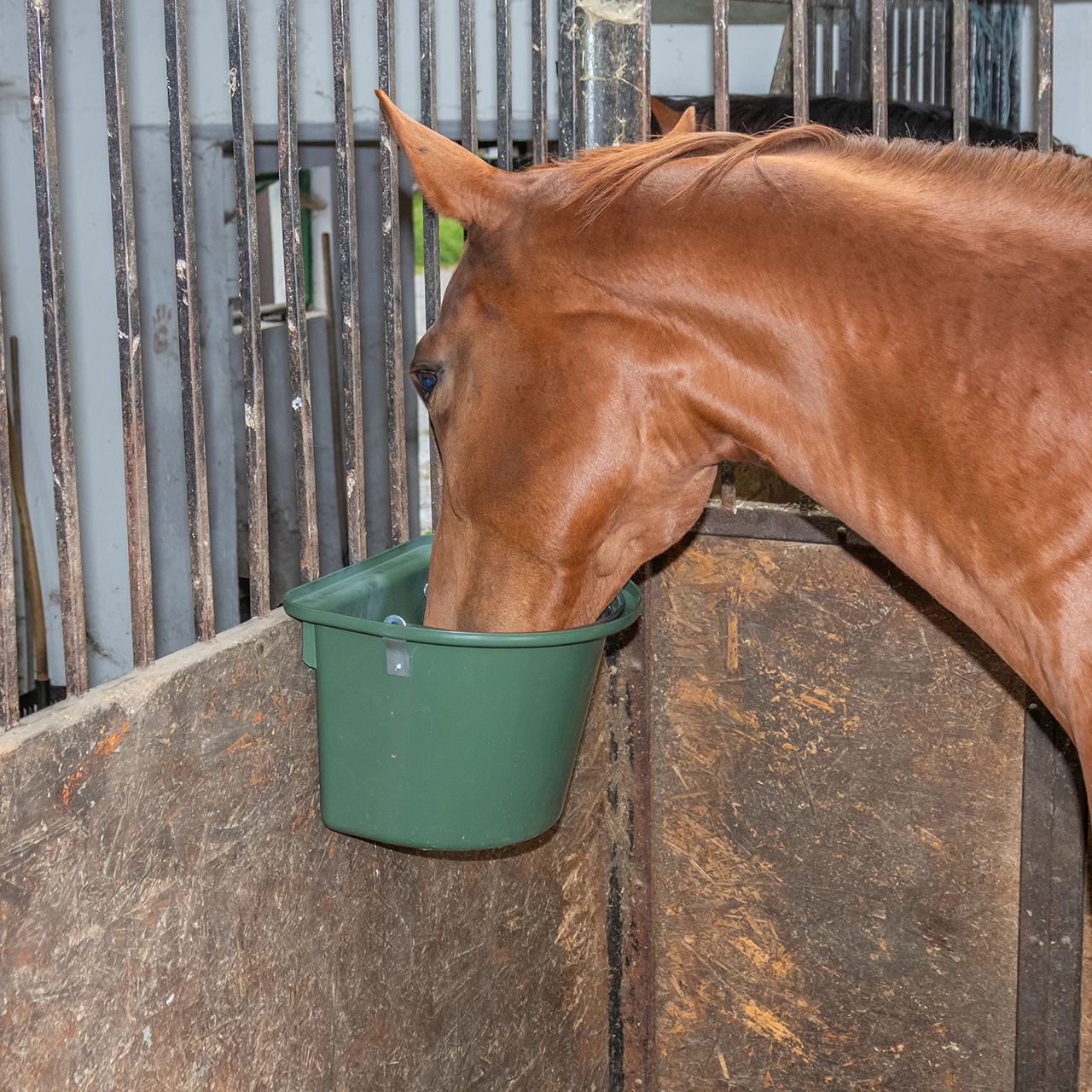 Кофа за хранене на коне, със скоби за окачване и дръжка, тъмно зелена, 12 литра