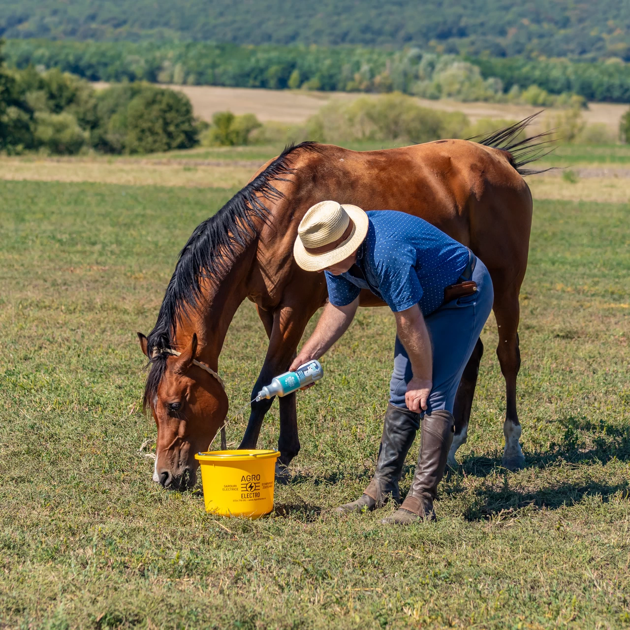 Шампоан за коне, MagicBrush, 1000 мл