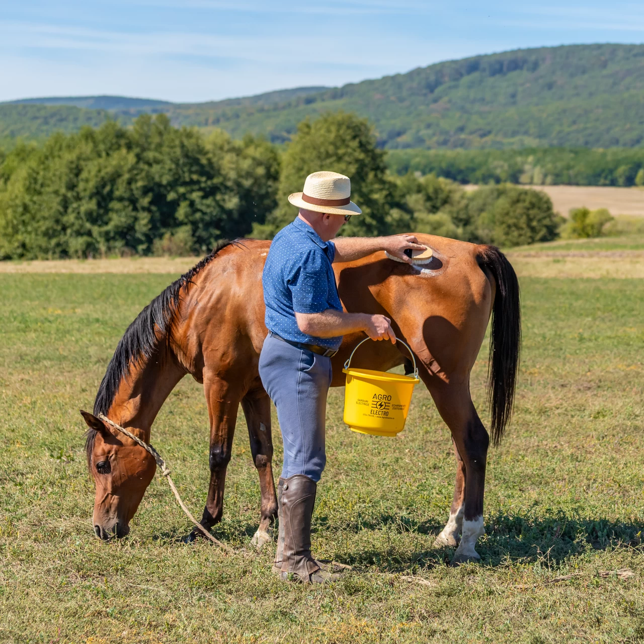 Шампоан за коне, MagicBrush, 1000 мл