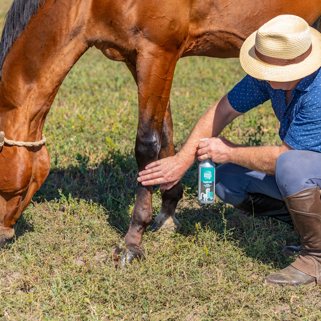 Охлаждащ балсам за коне, MagicBrush, 500 мл