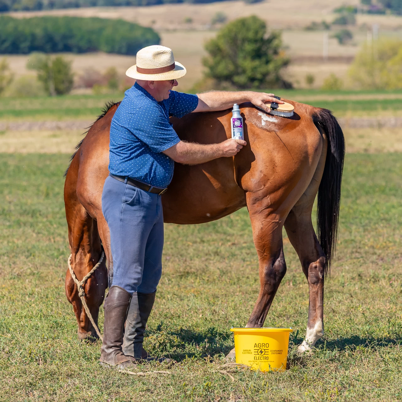 Шампоан за коне, аромат Oriental Nights, MagicBrush, 500 мл
