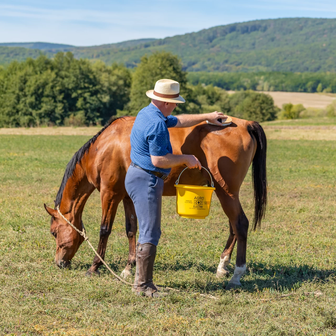 Шампоан за коне, аромат FruitExplosion, MagicBrush, 500 мл