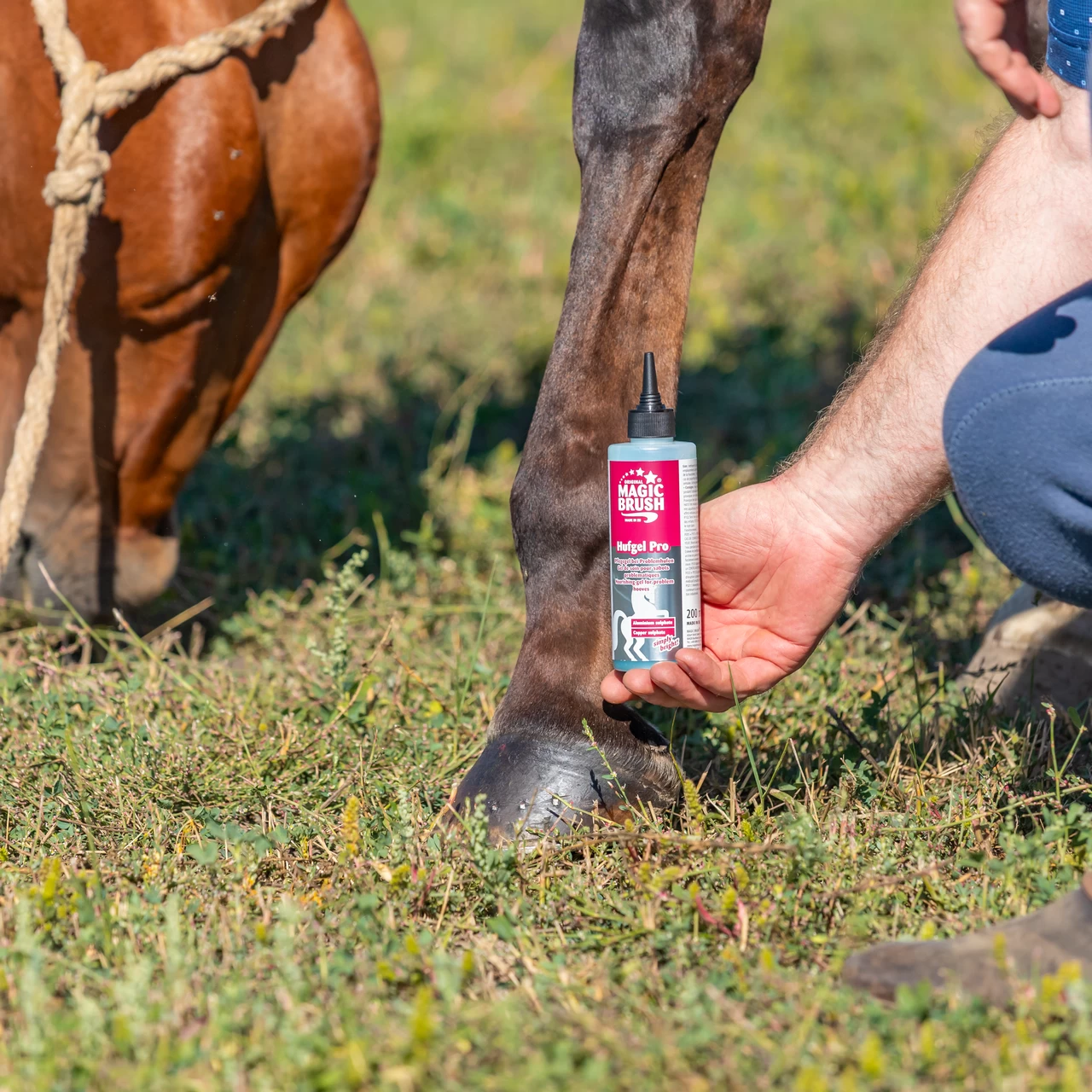 Гел за копита на коне, MagicBrush, 200 мл