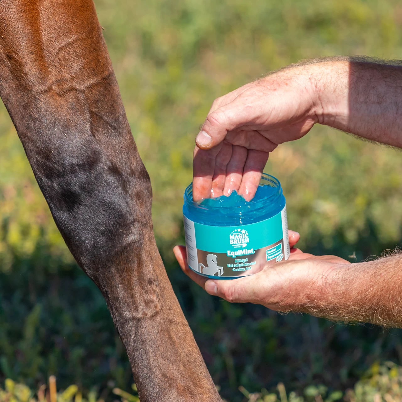 Гел за коне, MagicBrush Equimint, 500 мл